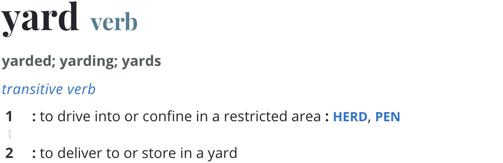 Yard meaning